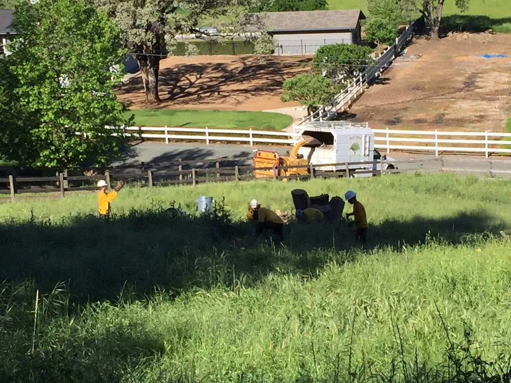 Custom landscape installation experts serving Newcastle, CA - Bruno Ferazza Tree Service