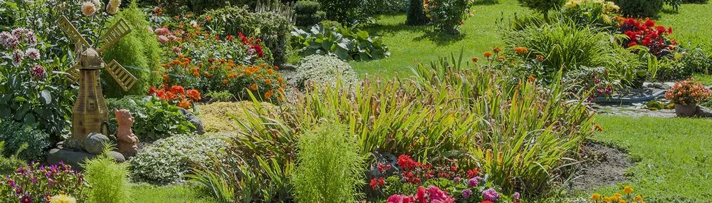 Local landscaping services in Carson City, NV by Bruno's Landscaping and Handyman Services