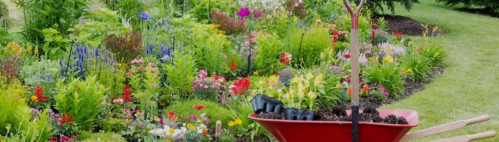 Custom yard maintenance for homes in Carson City, NV by Bruno's Landscaping and Handyman Services