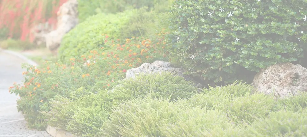 Expert landscaping services for outdoor upgrades across Carson City, NV - Bruno's Landscaping and Handyman Services