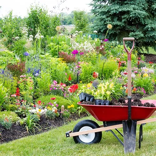 Local lawn mowing service experts serving Carson City, NV - Bruno's Landscaping and Handyman Services