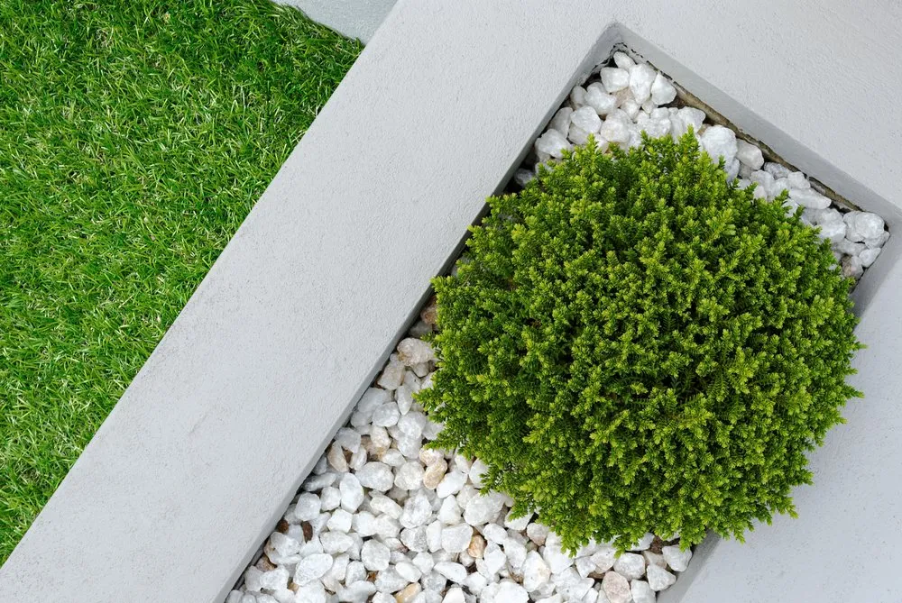 Custom yard maintenance in Carson City, NV - Bruno's Landscaping and Handyman Services