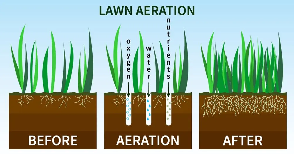 Trusted landscaping services in Supply, NC by Brunswick Lawn Aeration