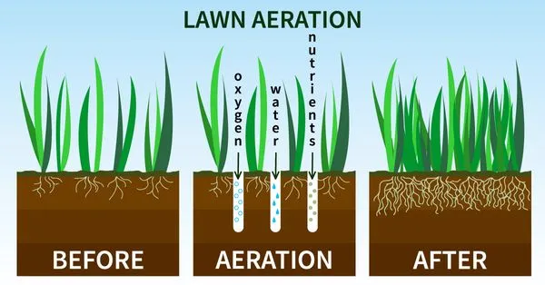 Brunswick Lawn Aeration Logo