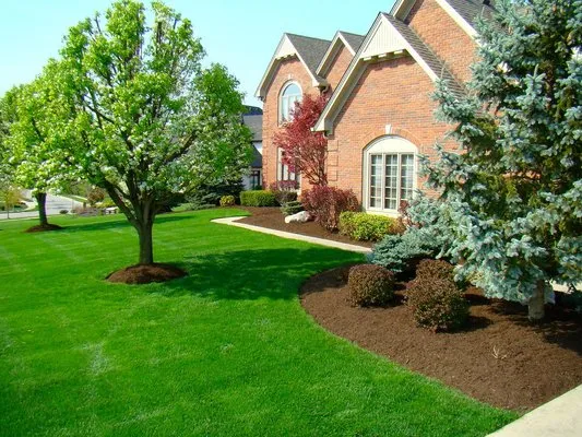 Brunswick Mulch