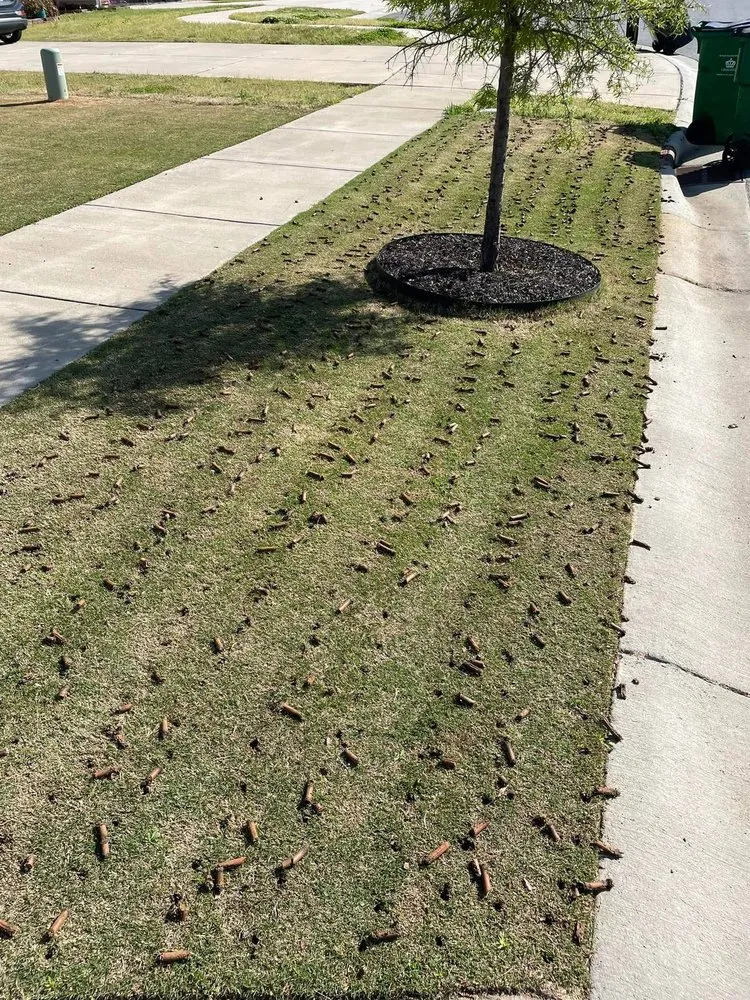 Top-rated outdoor landscaping in San Antonio, TX by Brunt's Services