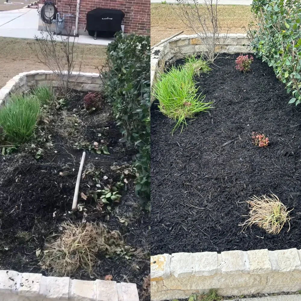 Local lawn mowing service for year-round maintenance across San Antonio, TX - Brunt's Services