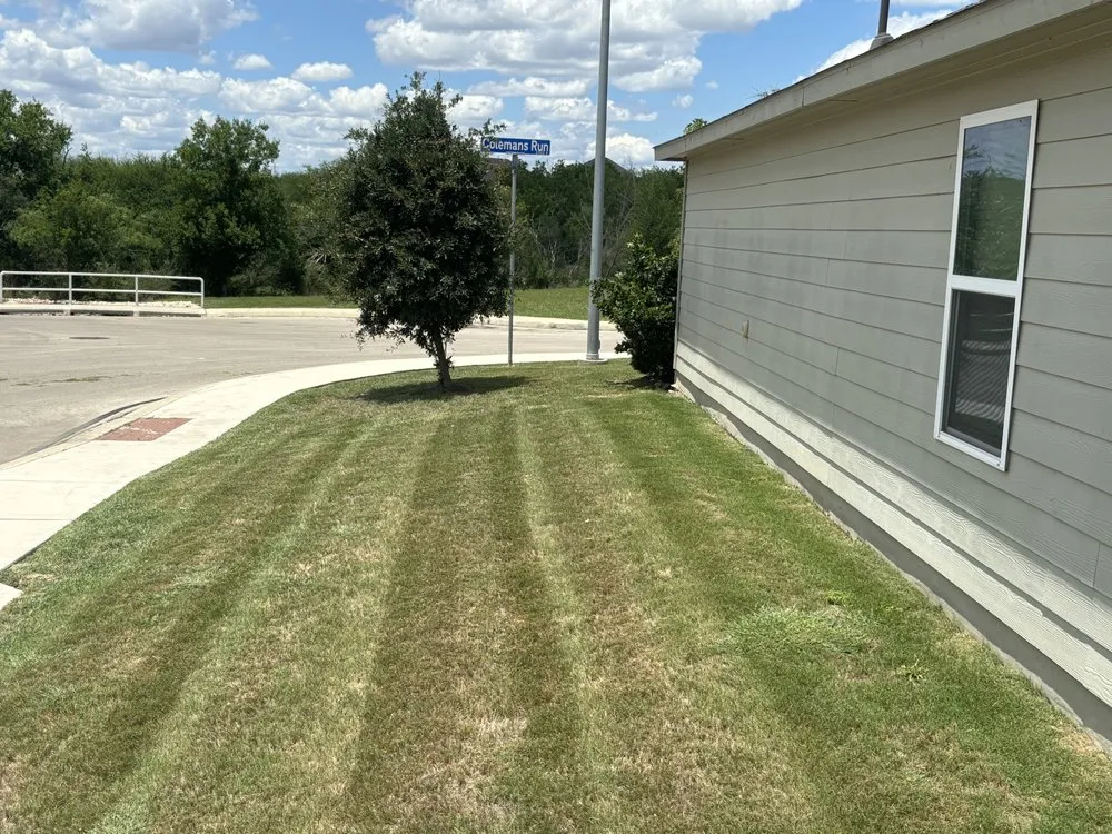 Professional lawn mowing service for year-round maintenance in San Antonio, TX by Brunt's Services