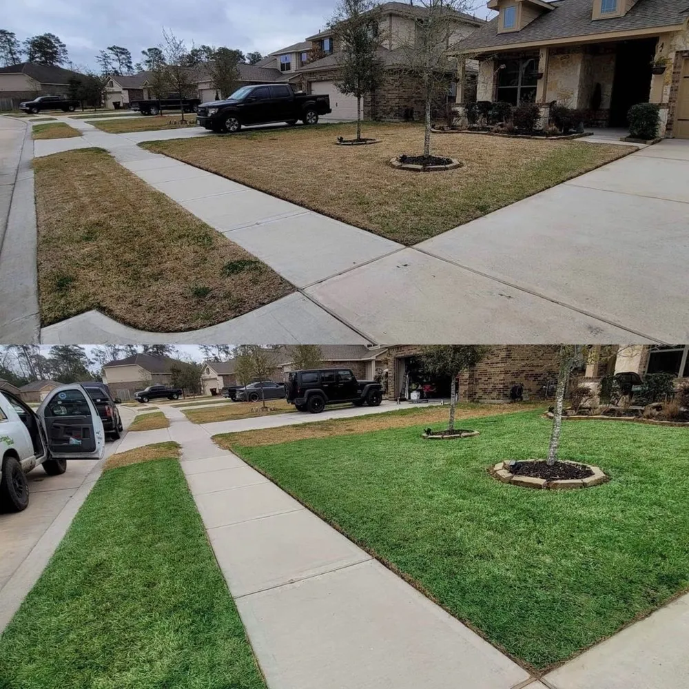 Custom yard maintenance with custom design in San Antonio, TX by Brunt's Services