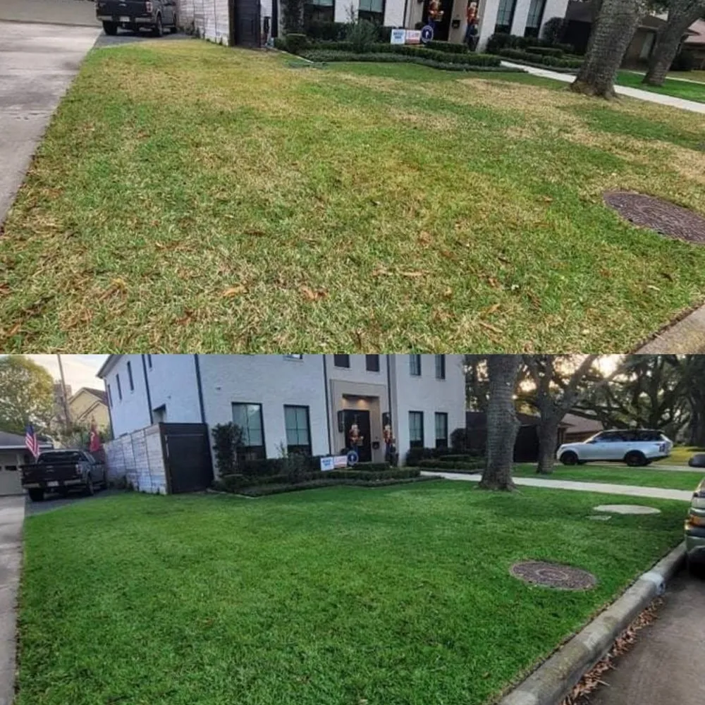 Affordable landscape design experts serving San Antonio, TX - Brunt's Services