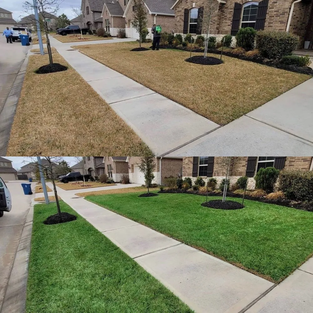 Affordable landscape design experts serving San Antonio, TX - Brunt's Services