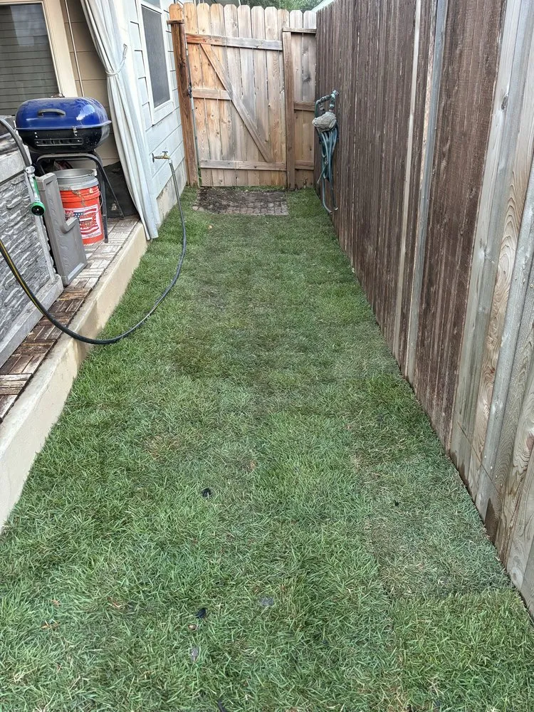 Professional landscape design in San Antonio, TX by Brunt's Services