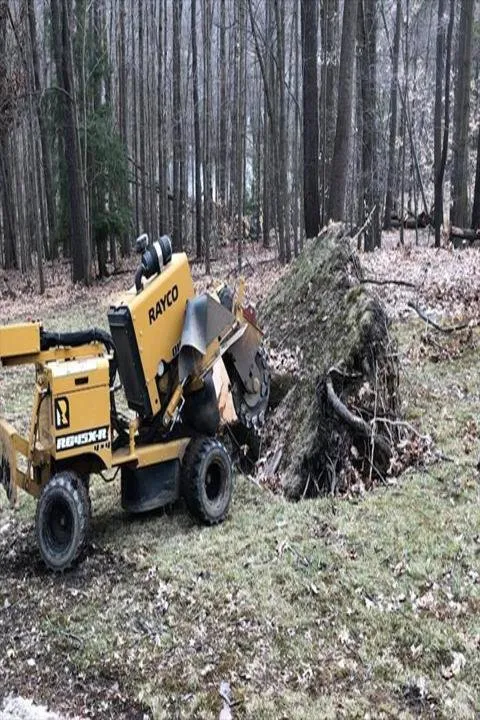 Custom yard cleanup service for residential properties across Mantua, OH - Brunty's Stump Grinding