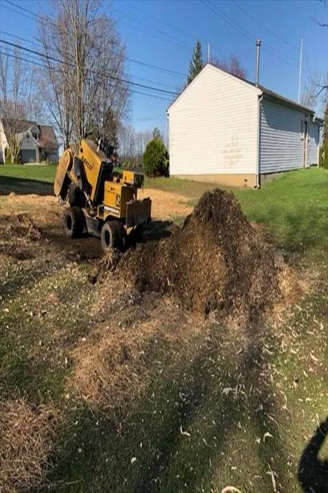 Affordable residential landscaping for beautiful yards across Mantua, OH - Brunty's Stump Grinding