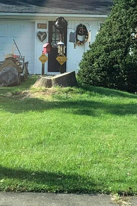 Local yard maintenance in Mantua, OH - Brunty's Stump Grinding