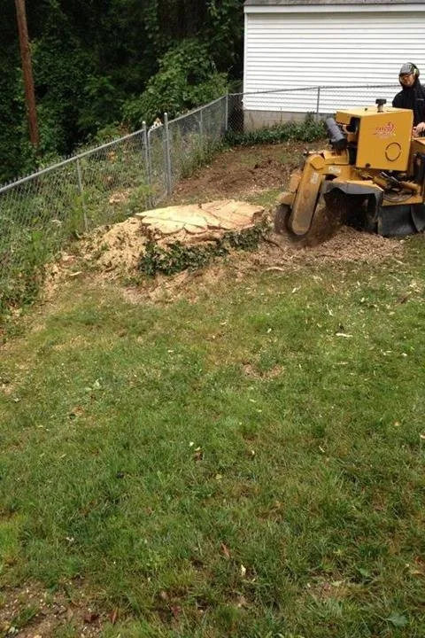 Local landscaping services in Mantua, OH by Brunty's Stump Grinding