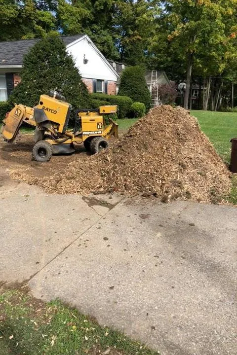 Expert yard cleanup service near you across Mantua, OH - Brunty's Stump Grinding