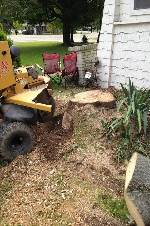 Trusted landscape installation for year-round maintenance across Mantua, OH - Brunty's Stump Grinding
