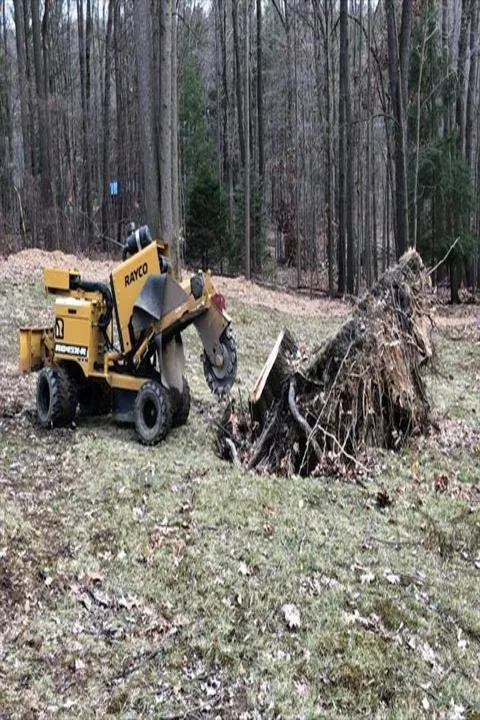 Affordable residential landscaping experts serving Mantua, OH - Brunty's Stump Grinding