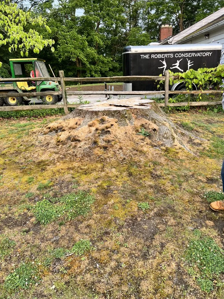 Affordable outdoor landscaping in Mantua, OH by Brunty's Stump Grinding