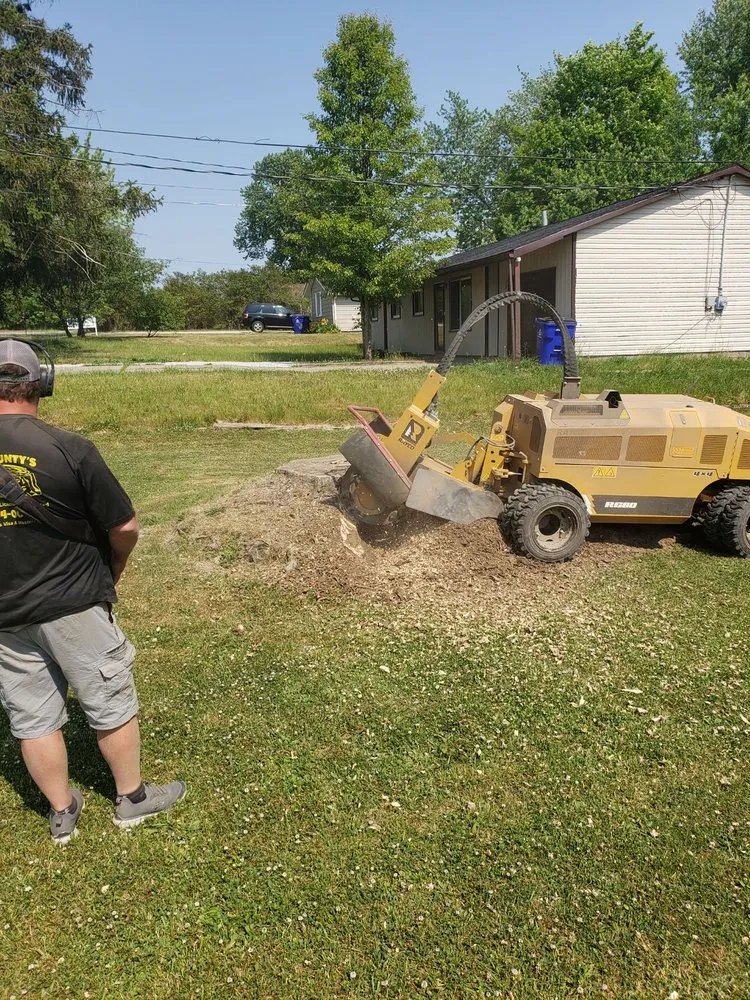 Expert yard maintenance in Mantua, OH - Brunty's Stump Grinding