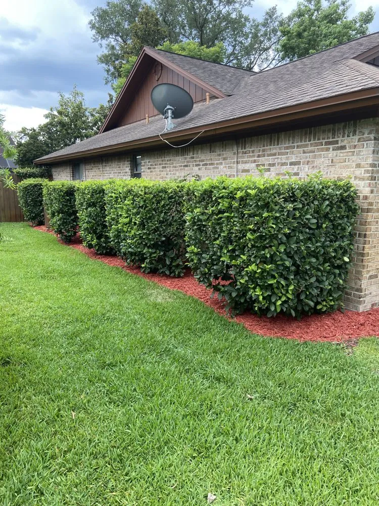 Custom residential landscaping in Jacksonville, FL by Bruschke Land and Tree Services