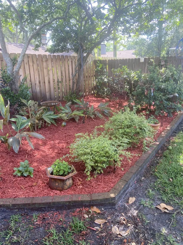 Reliable lawn care service near you across Jacksonville, FL - Bruschke Land and Tree Services