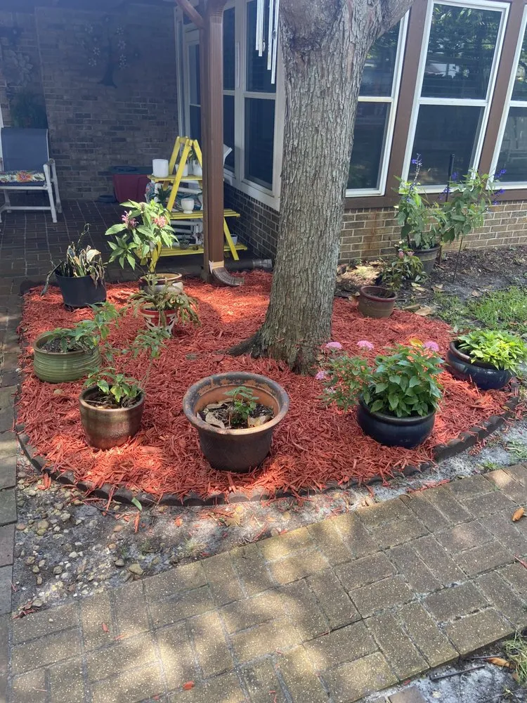 Trusted lawn mowing service in Jacksonville, FL - Bruschke Land and Tree Services