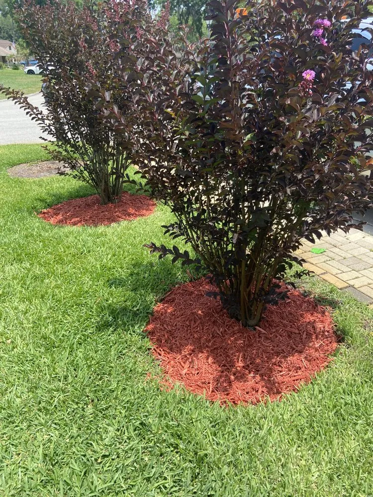 Custom outdoor landscaping in Jacksonville, FL by Bruschke Land and Tree Services