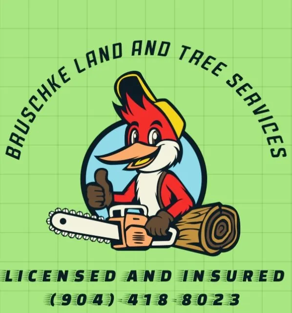 Local yard maintenance in Jacksonville, FL - Bruschke Land and Tree Services