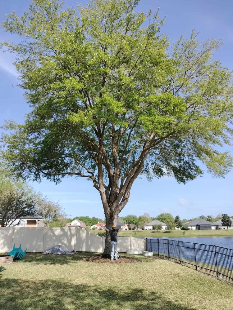 Top-rated lawn mowing service for outdoor upgrades in Jacksonville, FL by Bruschke Land and Tree Services