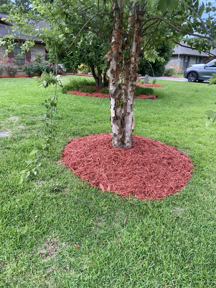 Trusted garden landscaping in Jacksonville, FL by Bruschke Land and Tree Services