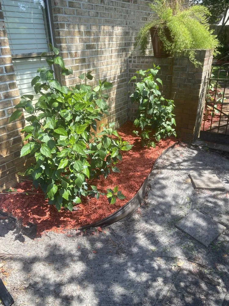 Top-rated garden landscaping for year-round maintenance in Jacksonville, FL by Bruschke Land and Tree Services