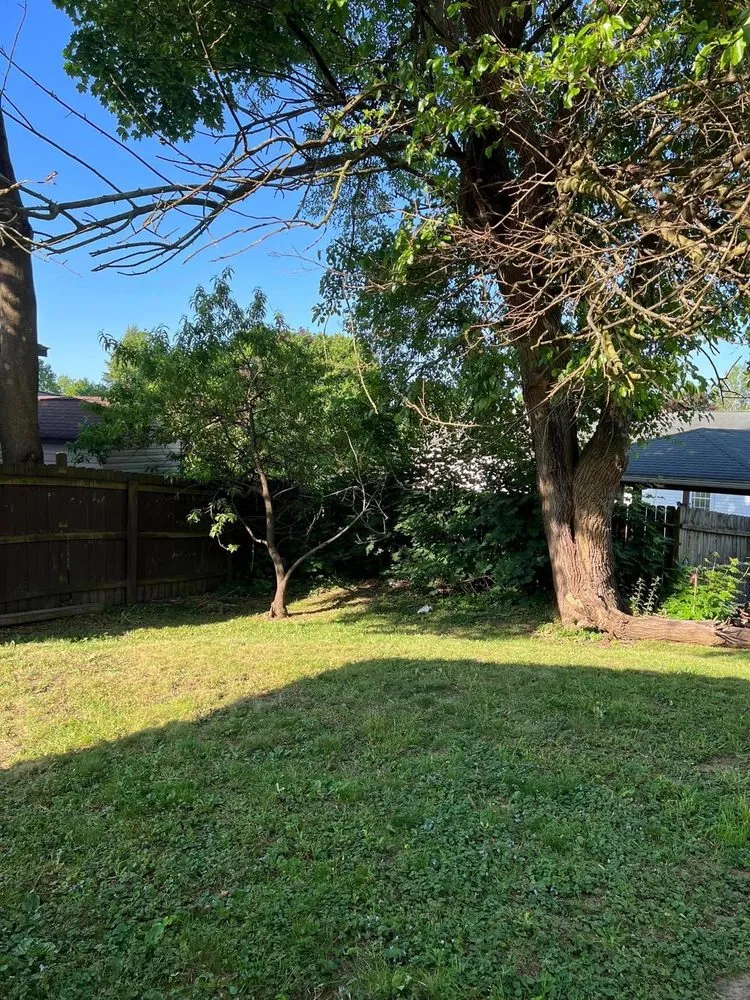 Professional outdoor landscaping for outdoor upgrades in New Franklin, OH by Brush Bandit Tree & Chipper Service