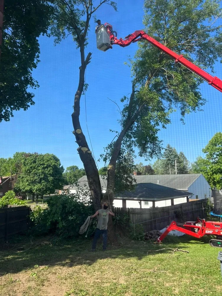 Affordable landscaping services for homes across New Franklin, OH - Brush Bandit Tree & Chipper Service