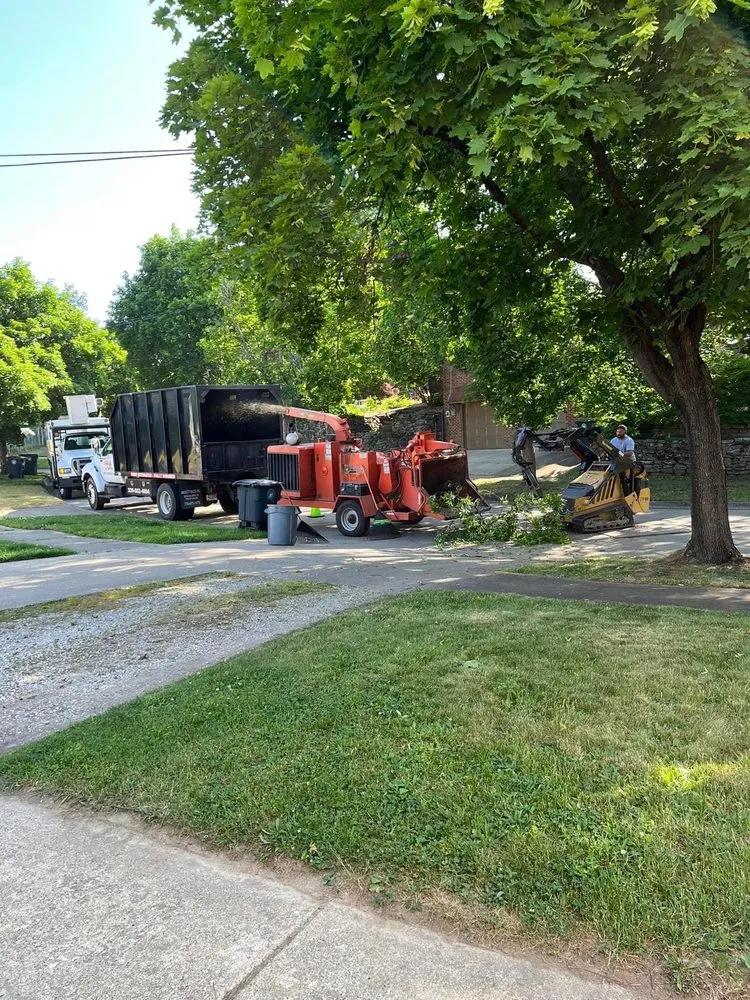 Professional lawn care service in New Franklin, OH by Brush Bandit Tree & Chipper Service
