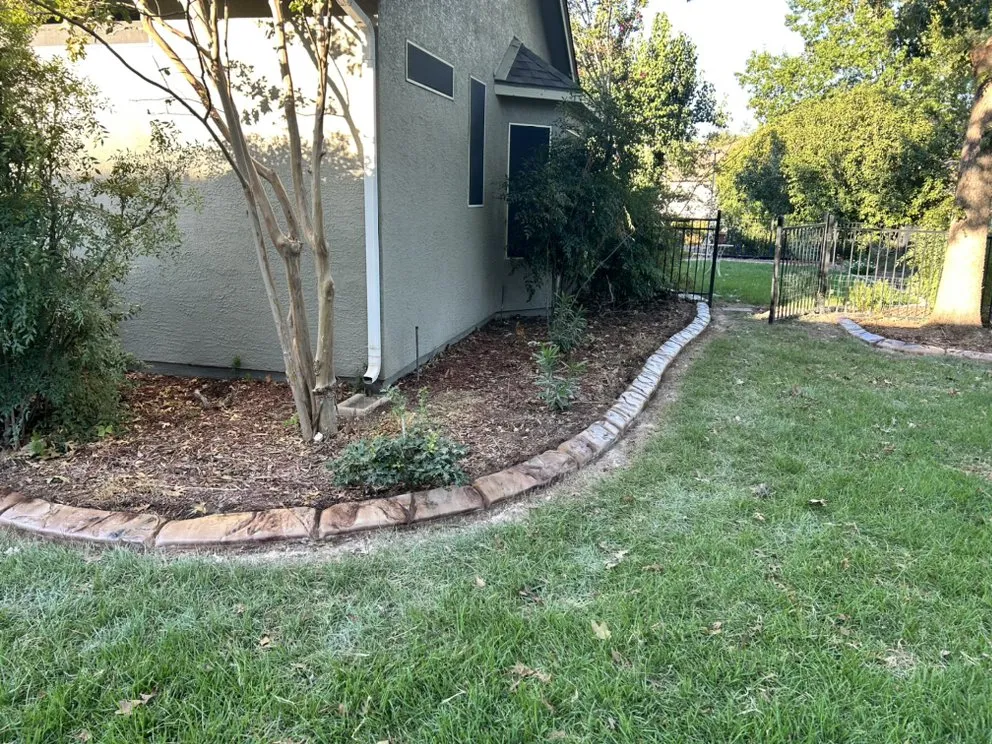 Expert landscape design in Pleasanton, TX by Brush Country Curbs & Borders