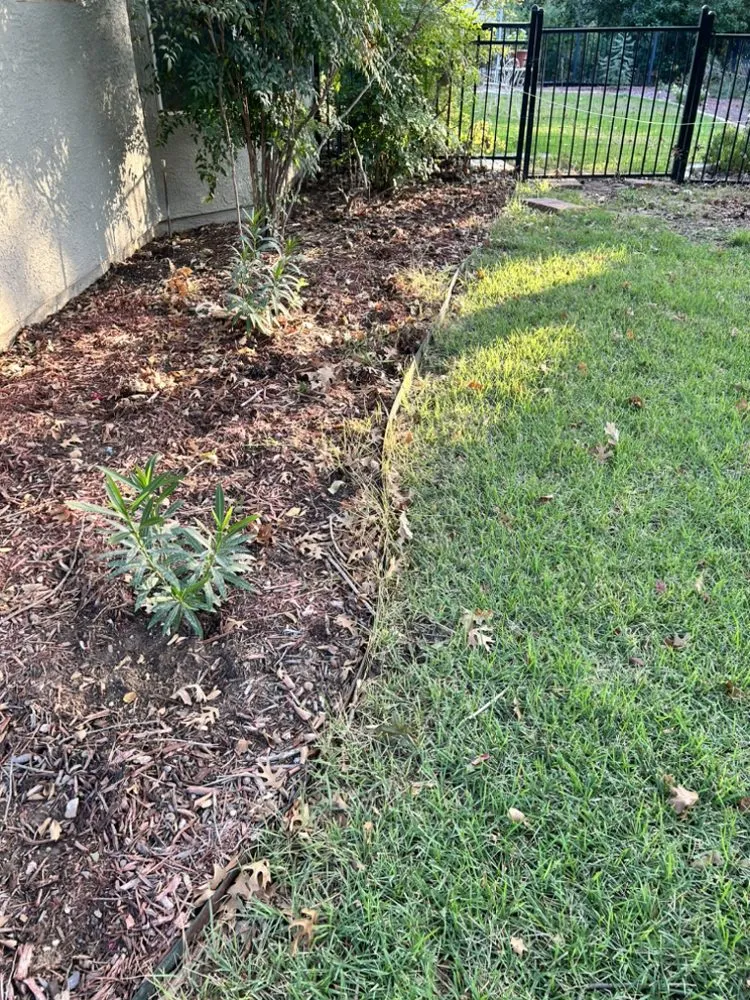 Local residential landscaping experts serving Pleasanton, TX - Brush Country Curbs & Borders