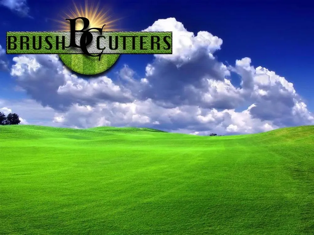 Professional yard cleanup service for outdoor upgrades across Sioux City, IA - Brush Cutters Pasture Management