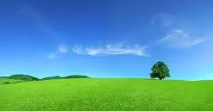 Trusted lawn mowing service in Sioux City, IA - Brush Cutters Pasture Management