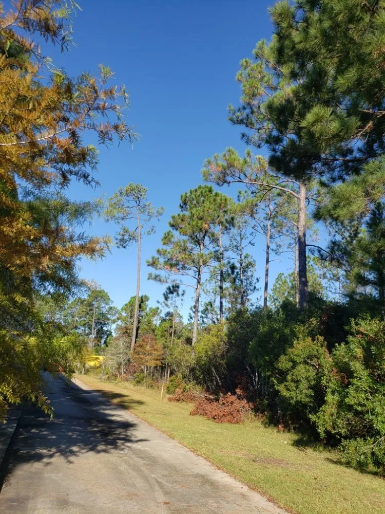 Trusted garden landscaping in Franklinton, LA - Brush Cutting and Clearing Services