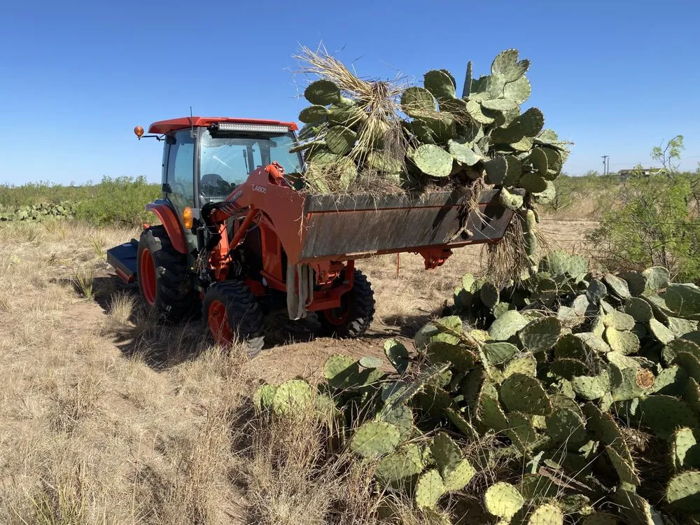 Expert landscaping services in Midland, TX by Brush Hog Tractor Services
