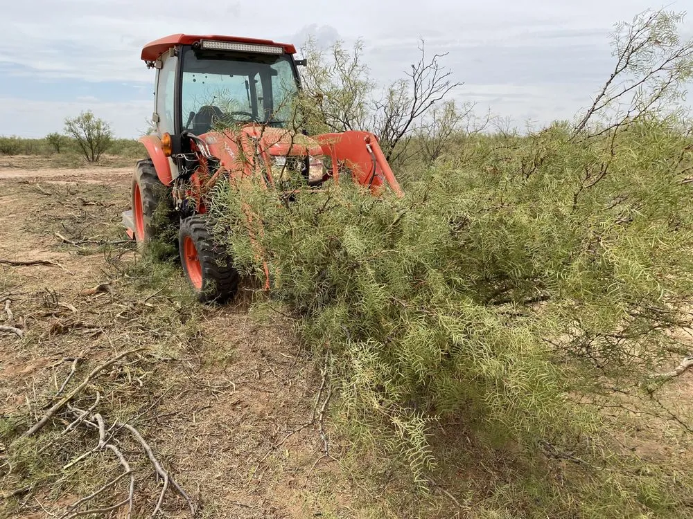 Trusted residential landscaping with custom design in Midland, TX by Brush Hog Tractor Services