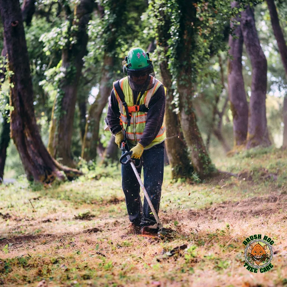Expert landscape installation for outdoor upgrades in Half Moon Bay, CA by Brush Hog Tree Care