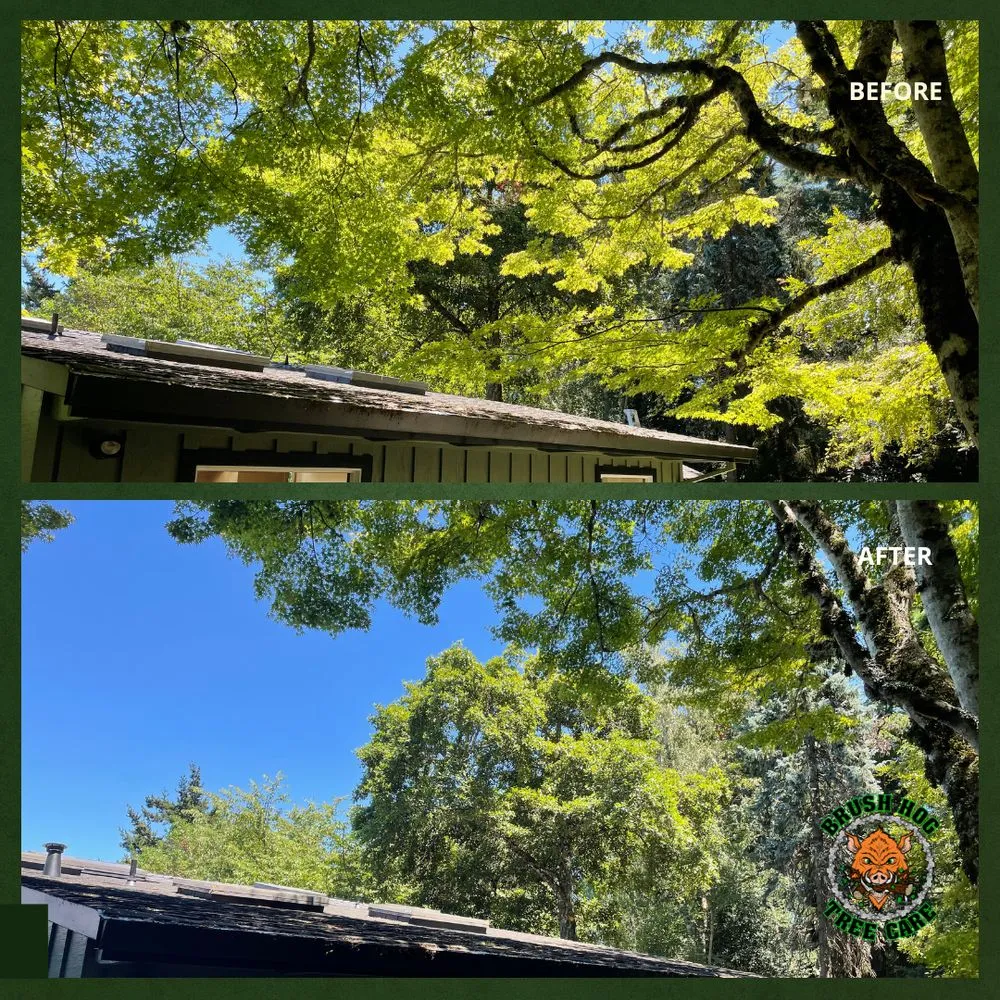 Affordable lawn mowing service in Half Moon Bay, CA - Brush Hog Tree Care