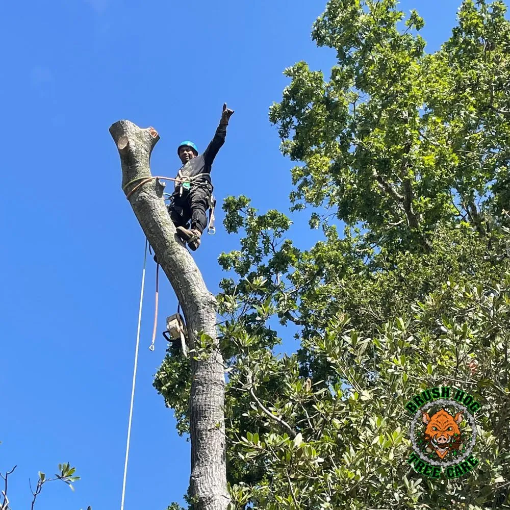 Local residential landscaping in Half Moon Bay, CA by Brush Hog Tree Care