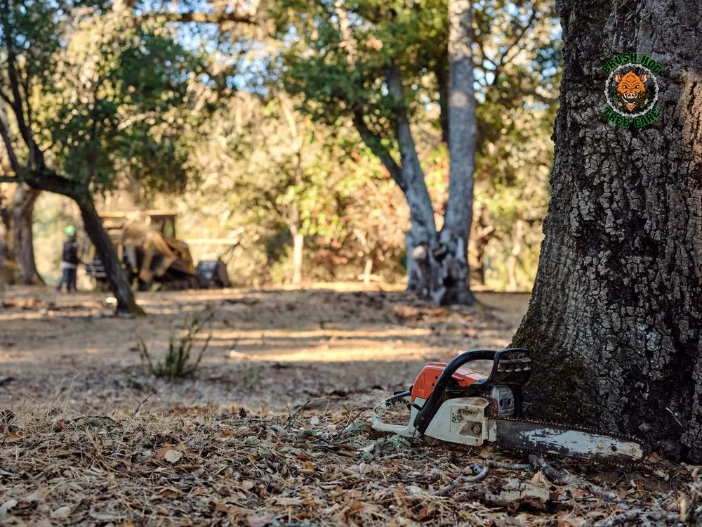 Expert residential landscaping in Half Moon Bay, CA by Brush Hog Tree Care