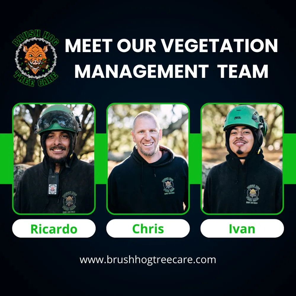 Expert garden landscaping near you in Half Moon Bay, CA by Brush Hog Tree Care