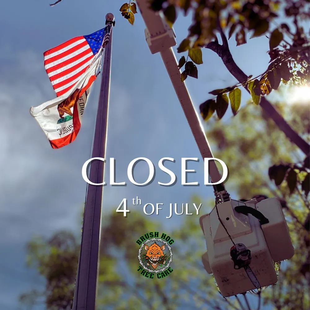 Top-rated landscaping services experts serving Half Moon Bay, CA - Brush Hog Tree Care