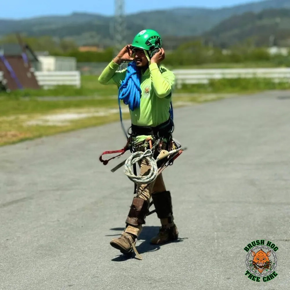 Professional lawn mowing service in Half Moon Bay, CA by Brush Hog Tree Care